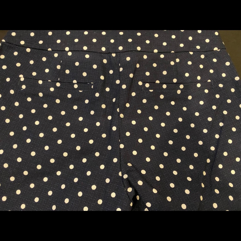 J Crew Shorts